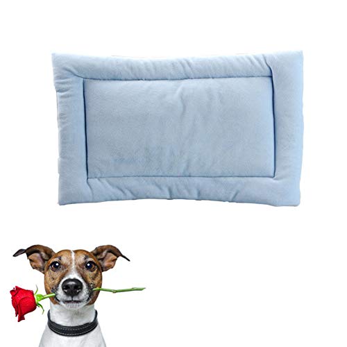 Kuscheldecke Hund Katzendecke Katzenbetten Waschbares Hundebett Haustierbett Weiche Katze Mat Hundebett Zubehör Hundekomfortbett Welpenbett Blue,L von Zongha