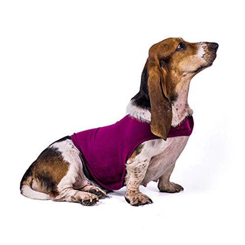 Zongha Anti Stress Weste Für Hunde Panikgeschirr Für Hunde Angst Hundemantel Medizinische Hundeweste Weste für ängstliche Hunde Hund Angst Jacke Rose-red,xs von Zongha