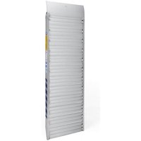 Aluminiumrampe für Zonzini Treppensteiger Dominound Skipper Plasmoid von Zonzini