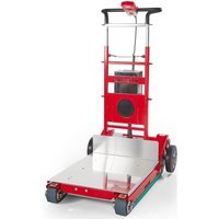 Zonzini Treppensteiger Domino Plasmoid 400 von Zonzini