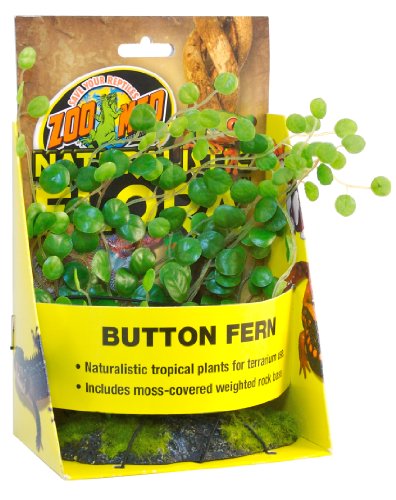 Zoo Med BU-49E Button Fern Kunststoffpflanze zur Dekoration im Terrarium Zoo Med BU-49E Button Fern Kunststoffpflanze zur Dekoration im Terrarium von Zoo Med