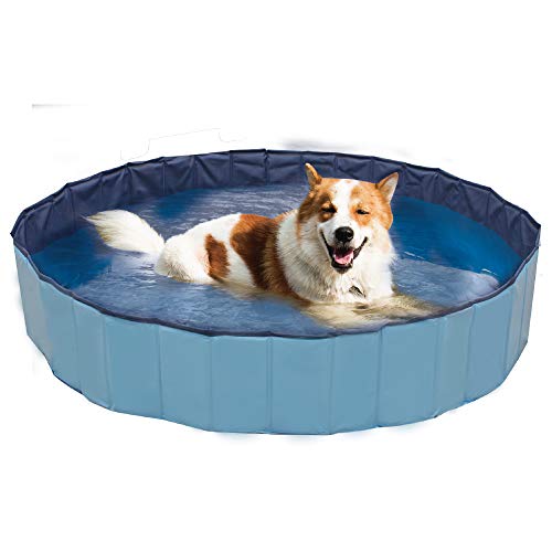 ZooMed Croci Swimming Pool Explorer, ideal für Hunde, 120 x 30 cm von Croci