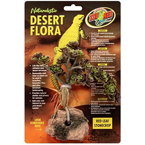 Zoo Med Red Leaf Stonecrop Desert Flora Terrarium Pflanze von Zoo Med