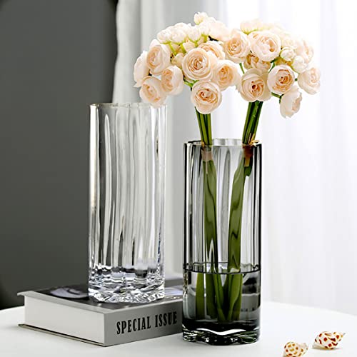 Vase Glas Zylinder Tulpenvase Blumenvase Modern Glasvasen für Tischdeko,Home Office Dekor Vasen,10 * 25cm (Transparent) von ZooJane