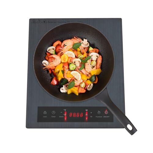 Induktionskochfeld 1 Platte,1800W Tragbares 28cm Kochplatte,9 Heizstufen,3-Stunden-Timer,Sicherheitsschloss,LED Touch-Steuerung,für zu Hause,Wohnheim,Camping von Zoobotanica
