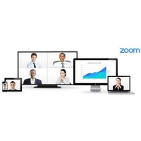 Zoom Meetings Business - Lizenz 1 Jahr (mind. 10 Stück) User Staffel: 100-249 von Zoom