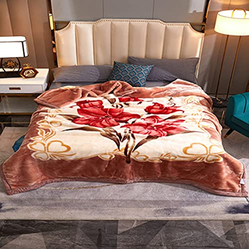 Raschel 100% Polyesterfaser Plüsch Fleece Decke King Size verdickt Doppellagig warm gemütlich flauschig Decke für Schlafzimmer Wohnzimmer Winter Einzelbett Doppelbett (Stil 11,180 x 220 cm (3000 g)) von Zoomlie