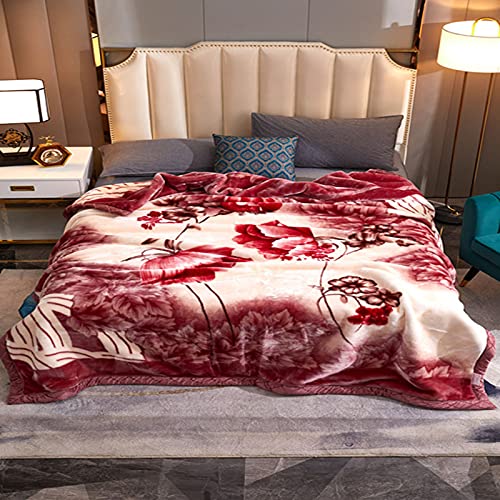 Raschel 100% Polyesterfaser Plüsch Fleece Decke King Size verdickt Doppellagig warm gemütlich flauschig Decke für Schlafzimmer Wohnzimmer Winter Einzelbett Doppelbett (Stil 2150 x 200 cm (2000 g)) von Zoomlie