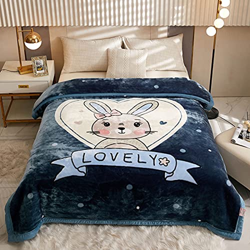 Raschel 100% Polyesterfaser Plüsch Fleece Decke King Size verdickt Doppellagig warm gemütlich flauschig Decke für Schlafzimmer Wohnzimmer Winter Einzelbett Doppelbett (Stil 23.150 x 200 cm (2000 g)) von Zoomlie