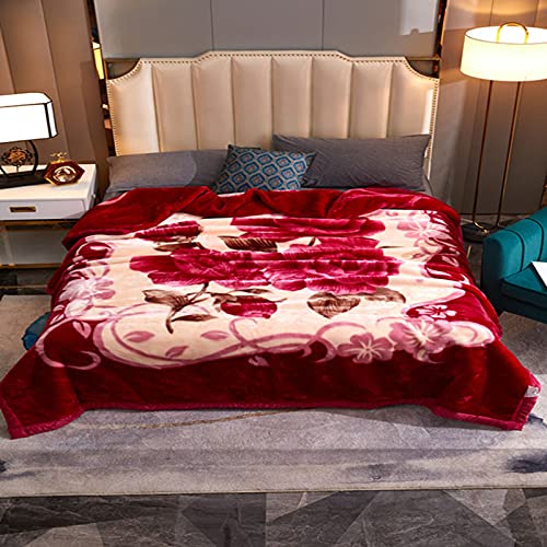 Raschel 100% Polyesterfaser Plüsch Fleece Decke King Size verdickt Doppellagig warm gemütlich flauschig Decke für Schlafzimmer Wohnzimmer Winter Einzelbett Doppelbett (Stil 3.180 x 220 cm (3000 g)) von Zoomlie