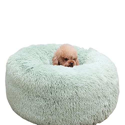 Rundes Plüsch-Haustierbett Katzennest Donut Schlafbett Warm Hundebett Haustiermatte Hundecouch Bett selbstwärmendes Katzenbett rutschfest Haustierbedarf (40 cm, grün) von Zoomlie