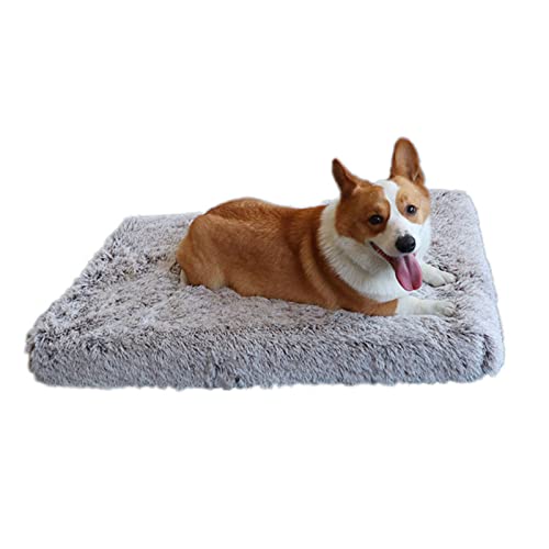 Zoomlie Hundebett, waschbar, Well-Memory-Schaum, Kuschelhütte, Plüsch, flauschig, gemütlich, orthopädisch, rechteckig, Welpen-Sofa für mittelgroße Katzen und Hunde (XL100 x 60 x 10 cm, Kaffee) von Zoomlie