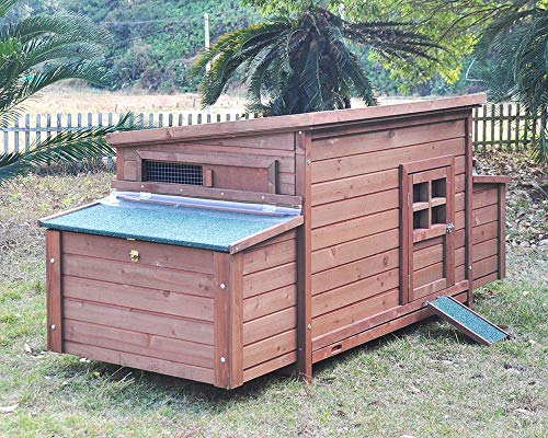 Zoopplier Winterfest Hühnerstall-wetterbeständig große Hühnerhaus-XXL Winterstall 4 Seasons aus massivem Holz-mit Wärmeisolierung-geeignet für 4-6 Hühner von Zoopplier