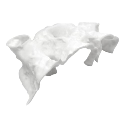 ZoraYorce 3D DRINTED Aquarium Decor Fish Hassout Decor für die Zucht Kleiner Fische (weiß L) von ZoraYorce