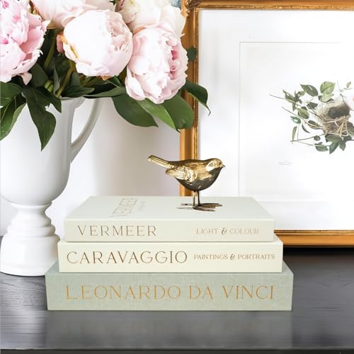 Set mit 3 dekorativen Leinenbüchern für Heimdekoration, moderne Kunst-/Kunstdekor-Bücher zur Dekoration, ästhetisches Buch für Couchtisch/Bücherregal/Kamindekoration, Foto-Aufbewahrung oder Set mit 3 dekorativen Leinenbüchern für Heimdekoration, moderne Kunst-/Kunstdekor-Bücher zur Dekoration, ästhetisches Buch für Couchtisch/Bücherregal/Kamindekoration, Foto-Aufbewahrung oder von Zouboat