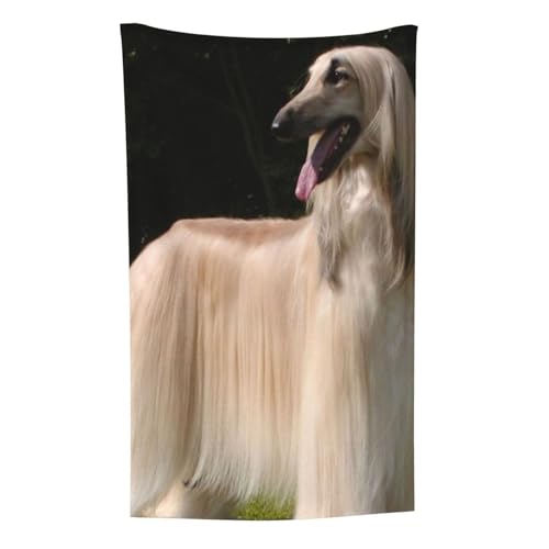 Afghanischer Windhund, Überwurf für Couchstühle, warme Plüschdecke für Bettwäsche und Reisen, 76,2 x 127,7 cm von Zouey