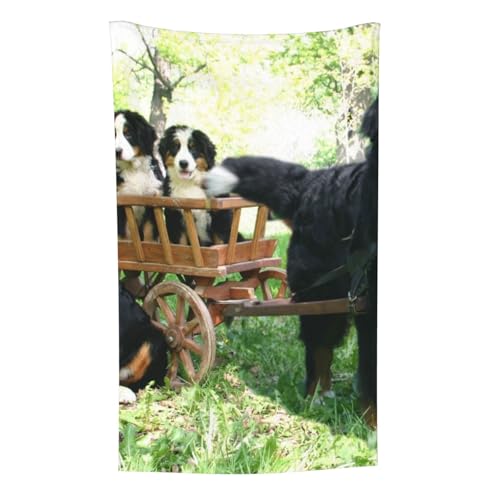 Berner Sennenhund, Überwurf für Couchstühle, warme Plüschdecke für Bettwäsche und Reisen, 76,2 x 127,7 cm von Zouey