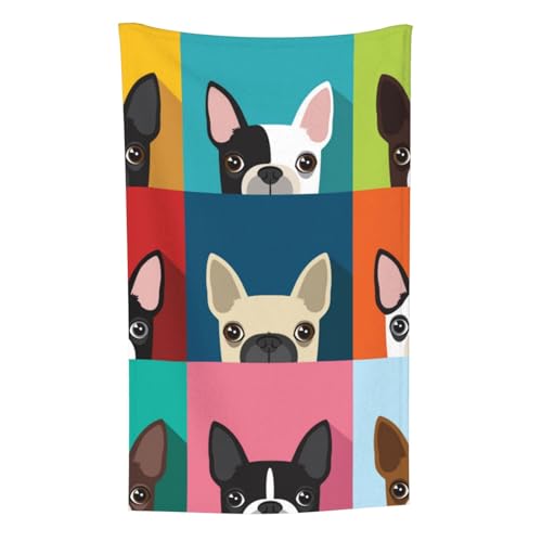 Bunter Boston Terrier Druck, Überwurf für Couchstühle, warme Plüschdecke für Bettwäsche und Reisen, 76,2 x 127,7 cm von Zouey