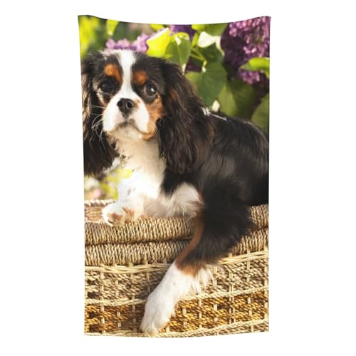 Cavalier King Charles Spaniel, Überwurf für Couchstühle, warme Plüschdecke für Bettwäsche und Reisen, 76,2 x 127,7 cm von Zouey