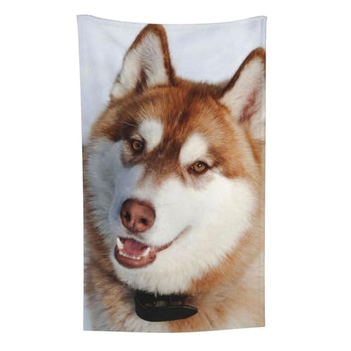 Huskies Druck, Überwurf für Couchstühle, warme Plüschdecke für Bettwäsche und Reisen, 76,2 x 127,7 cm von Zouey