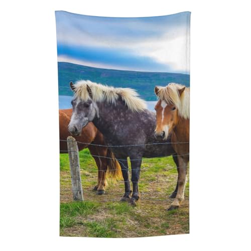 Islandpferde Tiere, Überwurf für Couchstühle, warme Plüschdecke für Bettwäsche und Reisen, 76,2 x 127,7 cm von Zouey