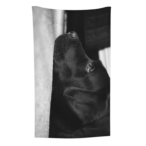 Labrador, Überwurf für Couchstühle, warme Plüschdecke für Bettwäsche und Reisen, 76,2 x 127,7 cm von Zouey