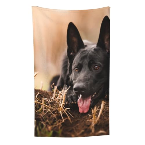 Schwarzer Deutscher Schäferhund Rasen Bokeh Deutsch, Überwurf für Couchstühle, warme Plüschdecke für Bettwäsche und Reisen, 76,2 x 127,7 cm Schwarzer Deutscher Schäferhund Rasen Bokeh Deutsch, Überwurf für Couchstühle, warme Plüschdecke für Bettwäsche und Reisen, 76,2 x 127,7 cm von Zouey