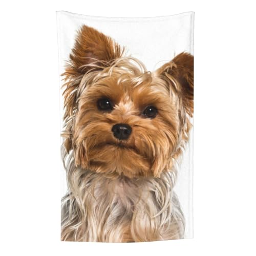 Yorkshire Terrier-Muster, Überwurf für Couchstühle, warme Plüschdecke für Bettwäsche und Reisen, 76,2 x 127,7 cm von Zouey