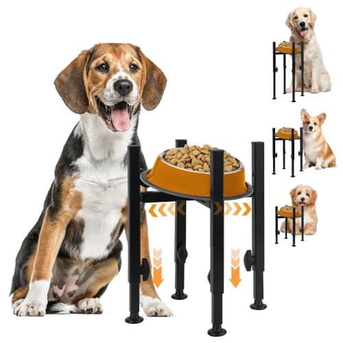 Zoyiancy ErhöHter Hundenapf,HundefressnäPfe ErhöHt Passt 6.5-10.5" SchüSseln, HundenapfstäNder Mit 3 Einstellbaren HöHen,Geneigtes Design Metall ErhöHt Hundefutter Zoyiancy ErhöHter Hundenapf,HundefressnäPfe ErhöHt Passt 6.5-10.5" SchüSseln, HundenapfstäNder Mit 3 Einstellbaren HöHen,Geneigtes Design Metall ErhöHt Hundefutter von Zoyiancy