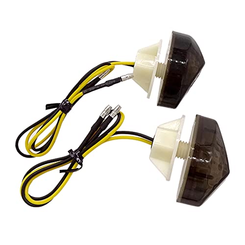 Zpengtai Blinker Motorrad 2pcs Motorradbeleuchtung Blinker -Anpassung for Honda CBR 600 RR CBR600 F4 F. 4i CBR900 CBR919 CBR600RR 900 Motorrad Blinker(9) von Zpengtai