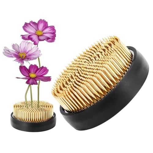 Zqkimzi Blumenfrosch | Runder Metall Blumenhalter Stabil,Kupfernadel Metall Halter Für Garten Blumendeko Arrangement Im Freien von Zqkimzi