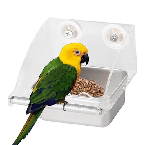 Zqkimzi Sittich Futterautomat - Transparenter Vogelfutterautomat Indoor-Käfig,Mit Antirutschhalterung Und Edelstahlschale Für Kolibris Und Sittiche von Zqkimzi