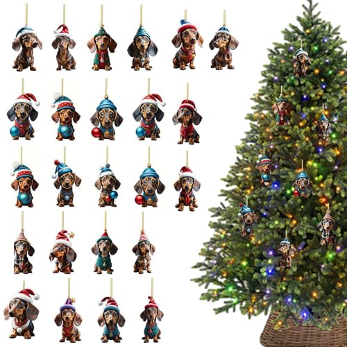 Zqkimzi Weihnachts-Dackel-Ornament-Kalender, 2D-Weihnachts-Countdown-Ornamente, Heimdekoration für Büros, Schlafsaal, Klassenzimmer, Wohnung von Zqkimzi