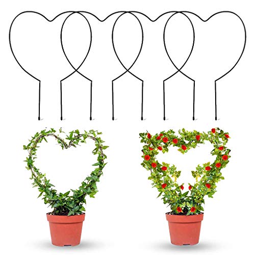 Zqxnt 4 Stücke Garten Gitter Rostfreie Weinpflanze Metallstütze Drahtpflanzen Kletterhalter Rack Für Gartenstielstiele Reben Hängende Pflanzenhalter Mit Topf von Zqxnt