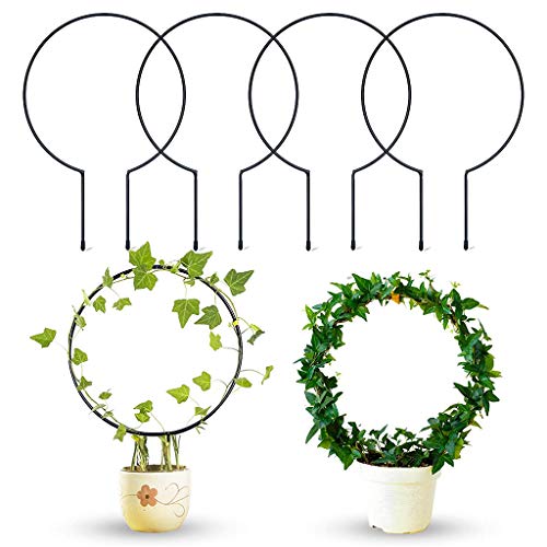 Zqxnt 4 Stücke Garten Gitter Rostfreie Weinpflanze Metallstütze Drahtpflanzen Kletterhalter Rack Für Gartenstielstiele Reben Hängende Pflanzenhalter Mit Topf von Zqxnt