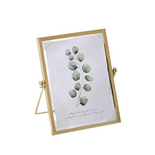 Einfacher Metallschwimmrahmen Mit Glasabdeckung Antike Vertikale Foto Display Frames Gepresstes Glas Bilderrahmen Ornamente Einfacher Metallschwimmrahmen Mit Glasabdeckung Antike Vertikale Foto Display Frames Gepresstes Glas Bilderrahmen Ornamente von Zqxnt