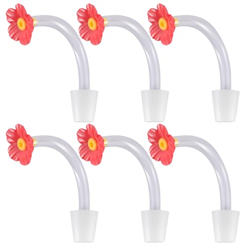 Zqxnt Set Von 6 Lecksicheren Kolibri Feeder Feeder Zubehör Versiegelung Secure Ersatzteilabgabewerkzeug Hummingbird Tipps Zqxnt Set Von 6 Lecksicheren Kolibri Feeder Feeder Zubehör Versiegelung Secure Ersatzteilabgabewerkzeug Hummingbird Tipps von Zqxnt