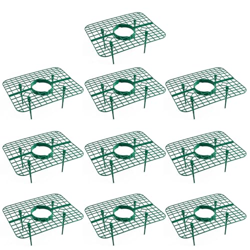 Zqxnt 10pcs Erdbeer Pflanzen Unterstützung Erdbeeranbaugestell Für Die Haltung Von Garten Erdbeer Sauberer Erdbeer Wachstum Von Erdbeer Wachstumsregalen von Zqxnt