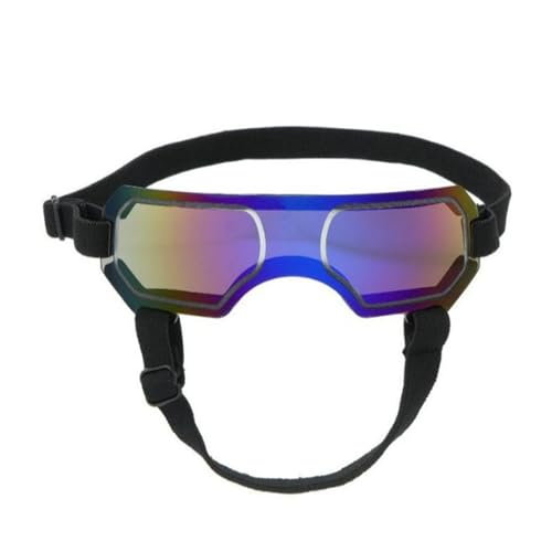 Zqxnt Bunte Haustier Sonnenbrille Cool Zqxnt Bunte Haustier Sonnenbrille Cool von Zqxnt