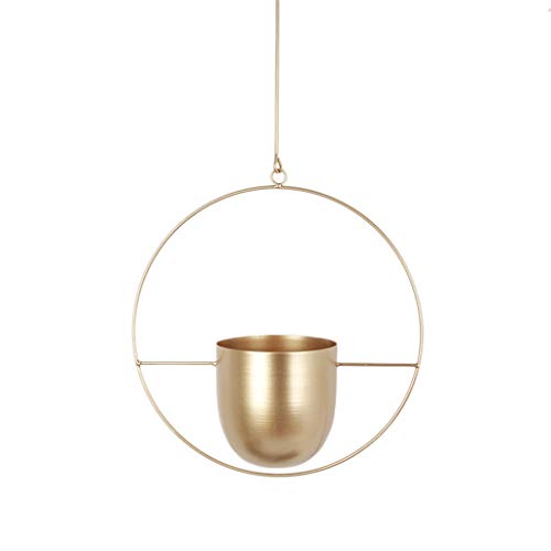 Zqxnt Einfacher Entwurfsanlagen Topf Hänge Pflanzer Vase Moderne Fenster Deckenbügel Für Kleine Saftige Kraut Luftpflanze Rund Blumenkorb Zqxnt Einfacher Entwurfsanlagen Topf Hänge Pflanzer Vase Moderne Fenster Deckenbügel Für Kleine Saftige Kraut Luftpflanze Rund Blumenkorb von Zqxnt