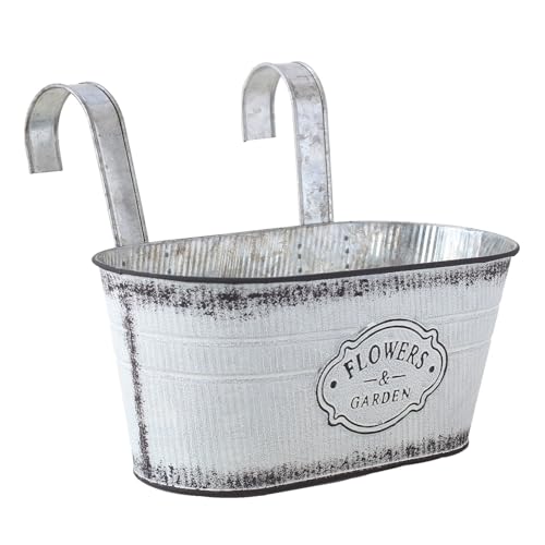 Zqxnt Hängende Kleine Eiseneimer Dekorative Pflanzentöpfe Pflanze Hängende Töpfe Wand Hängende Innenblumen Basket Metall Blumen Töpfe Zqxnt Hängende Kleine Eiseneimer Dekorative Pflanzentöpfe Pflanze Hängende Töpfe Wand Hängende Innenblumen Basket Metall Blumen Töpfe von Zqxnt