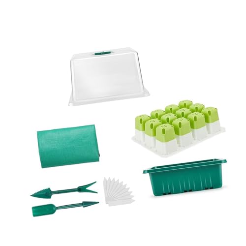 Zqxnt Innenpflanzen Kindergartenschale Für Gemüseblumen Und Blumenstarter Kits Sämlingschachtel Für Home Gartenbegeisterte Fensterblock Gewächshaus von Zqxnt