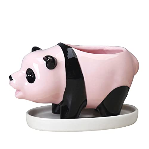 Zqxnt Keramik Panda Blumenköpfe Sukkulenten Container Dekorativen Blütenorganisator Für Schlafsaalraum Desktop Töpfe Zqxnt Keramik Panda Blumenköpfe Sukkulenten Container Dekorativen Blütenorganisator Für Schlafsaalraum Desktop Töpfe von Zqxnt