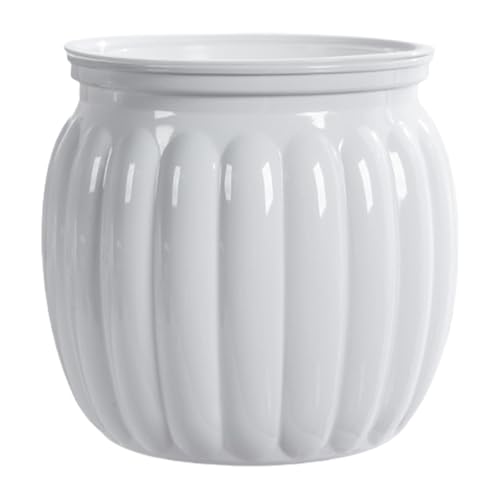 Zqxnt Klare Kürbisblumentöpfe Verdickte Sichtbare Wasserspiegel Faule Becken Home Desktop Ornamente Blütenzubehör Kürbisform Pot Topf von Zqxnt