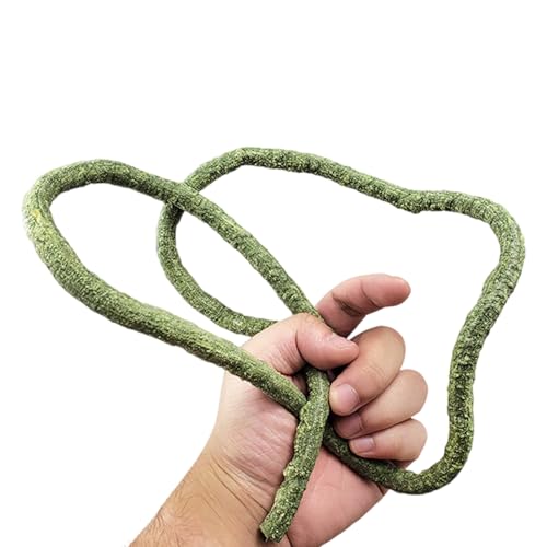 Zqxnt Künstliche Reptilien Pflanze Zum Klettern Von Versteck Terrarium Plastik Dschungel False Rebe Amphibien Habitat Ornamente Flexible Reptilien Rebe von Zqxnt