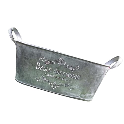 Zqxnt Pflanzer Vintage Garten Dekoration Dekorative Geschenk Metall Pflanzer Blumenpot Für Balkon Wohnzimmer Schlafzimmer Yard Vintage Eisenwanne von Zqxnt