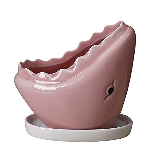 Zqxnt Sukkulenten Pflanzer Topf Mit Entwässerungsschale Keramik Blütenbehälter Bonsai Für Innenpflanzen Blütentopf Zqxnt Sukkulenten Pflanzer Topf Mit Entwässerungsschale Keramik Blütenbehälter Bonsai Für Innenpflanzen Blütentopf von Zqxnt