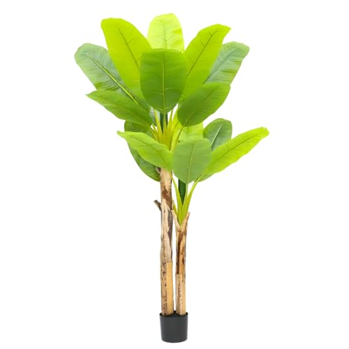 Zstar Bananenbaum Kunstpflanze groß, 190cm Künstliche Tropische Bananenbaum im Topf, Langlebig Blättern Künstliche Pflanzen Deko für Büro, Laden, Wohnung und Party Zstar Bananenbaum Kunstpflanze groß, 190cm Künstliche Tropische Bananenbaum im Topf, Langlebig Blättern Künstliche Pflanzen Deko für Büro, Laden, Wohnung und Party von Zstar