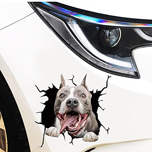 Aufkleber Autoaufkleber,Crack Dog Cars Sticker,autoaufkleber Lustig Aufkleber Auto Emblem Aufkleber Dekoration,selbstklebend Autoaufkleber,für Lkw Körper Stoßstange Vorne Hinten Tür Kofferraum,4PCS von Ztexkee