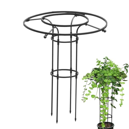 Garten-Obelisk | 90 cm Rankhilfe | Garten Rankhilfe | Rankhilfe für Pflanzen | Rankgitter Blume Gartenstütze in Turmform für Kletterpflanzen von Zuasdvnk